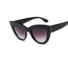 Chic & Stylish: Premier Sunglasses