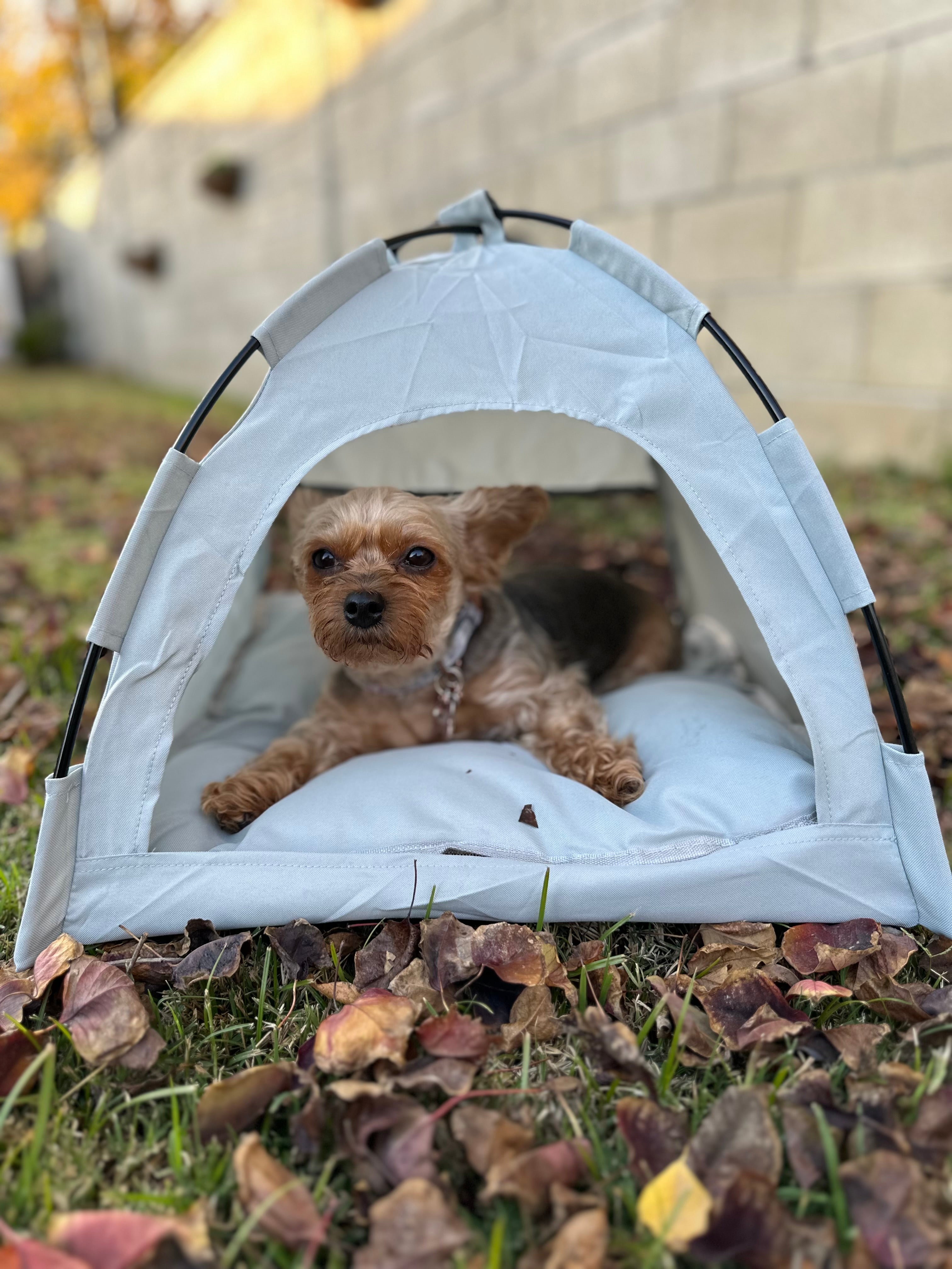 Small Pet Tent & Cooling Mat: Indoor Pet Sofa & Bed with Cushion